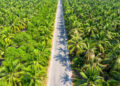 Malaysia’s CPO Prices Expected to Remain Above RM 4,600 Amid Strong Export Demand