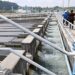 Selangor’s Zero Discharge Policy Boosts Industrial Wastewater Reuse and Reduces River Pollution
